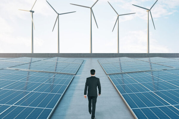 CEO sustainability